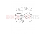 Triumph 2010 SCRAMBLER EFI Service Kit Eng No 456552
