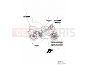 Triumph 2000 TT600 Decals 111990 » » 115673