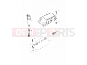 Triumph 2001 TT600 Engine Management System