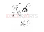 Triumph 2001 TT600 Alternator & Starter 171121 »