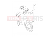 Triumph 2011 THRUXTON 900 EFI Rear Brake Caliper & Disc