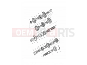 Triumph 2012 THRUXTON 900 EFI Transmission