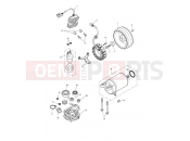 Triumph 2012 THRUXTON 900 EFI Starter & Alternator