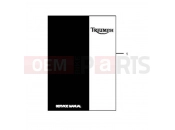 Triumph 2013 DAYTONA 675 from VIN 564948 Service Literature