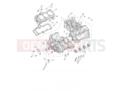 Triumph 2021 SPEED TRIPLE 1200 RS Crankcase & Fittings