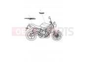 Triumph 2011 STREET TRIPLE > 560476 Bodywork Decals 480781