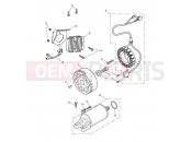 Triumph 2011 STREET TRIPLE > 560476 Alternator & Starter Motor