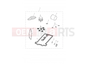 Triumph 2012 STREET TRIPLE R > 560476 Service Kits