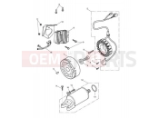 Triumph 2012 STREET TRIPLE R > 560476 Alternator & Starter Motor