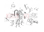 Triumph 2015 STREET TRIPLE R 560477 > 806645 Oil pump drive