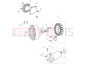TRIUMPH STREET TRIPLE R 806646 > Alternator & Starter Motor