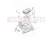 Triumph 2006 AMERICA CARBS Crankcase & Fittings 221608
