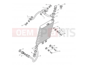 Triumph 2013 AMERICA EFI Oil Cooler
