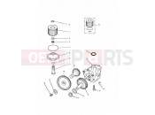 Triumph 1998 TIGER 885 CARBS > 71698 Lubrication System