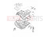 Triumph 2001 TIGER 885i 71699 > 124105 Crankcases