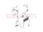 Triumph 2001 TIGER 885i 71699 > 124105 Cooling System