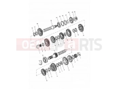 Triumph 2002 TIGER 955i 124106 > 198874 Transmission