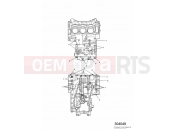 Triumph 2003 TIGER 955i 124106 > 198874 Crankcase Fixings