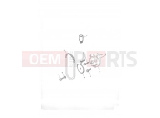 Triumph 2005 TIGER 955i 198875 > Oil Pump/Drive