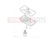 Triumph 2005 TIGER 955i 198875 > Sump & Fittings