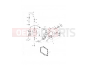 TRIUMPH TIGER 955i 198875 > Fuel Pump & Filter