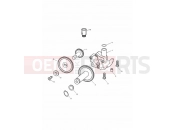 Triumph 1998 DAYTONA 595 / 955i Oil Pump/Drive