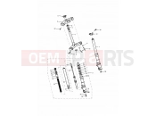 Triumph 1998 DAYTONA 595 / 955i Front Forks & Yokes