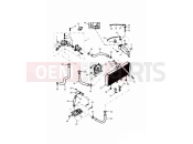 Triumph 1999 DAYTONA 595 / 955i Cooling System