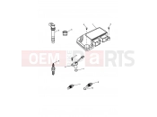 Triumph 2005 DAYTONA 955i 132513 > Engine Management System