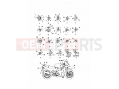 TRIUMPH DAYTONA 750/1000 Bodywork Fixings