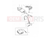 TRIUMPH DAYTONA 750/1000 Ignition System