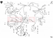 DUCATI 2003 Superbike 998 RS WIRING HARNESS » WIRING HARNESS