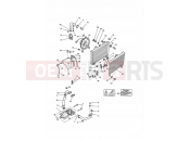 TRIUMPH DAYTONA 750/1000 Cooling System 4 Cylinder