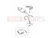 Triumph 1994 DAYTONA1200, 900 & SUPER III Ignition System