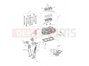 Triumph 2017 STREET CUP Cylinder Head & Valves