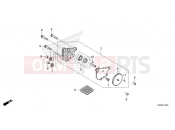 HONDA Z125 MONKEY (Z125MAN) 2022 E-14 OIL PUMP