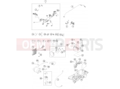 KTM 250 EXC SIX DAYS TPI (F7303V2) [EU] 2022 WIRING HARNESS