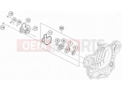 KTM 500 EXC-F SIX DAYS (F8503V2) [EU] 2022 WATER PUMP
