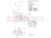 KTM 450 RALLY FACTORY REPLICA (F9399V8) [EU] 2022 ENGINE CASE