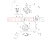 KTM 450 RALLY FACTORY REPLICA (F9399V8) [EU] 2022 CYLINDER HEAD