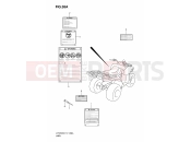 SUZUKI LT-F250 K6 (2006) (E17) LABEL (MODEL K6)
