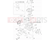HUSQVARNA 2022 Offroad TC 85 19/16 (F2001V9) [EU] CYLINDER|Engine|30