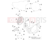 HUSABERG 2011 Offroad TE 250 (2303K9) [EU] CLUTCH COVER|Engine|30