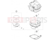 HUSABERG 2012 Offroad FE 450 (2303L3) [EU] CYLINDER