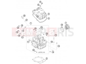 HUSABERG 2009 Offroad FE 570 (2403I3) [EU] CYLINDER HEAD|Engine|36