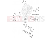 HUSABERG 2011 Offroad FE 570 (2403K3) [EU] LUBRICATING SYSTEM|Engine|38