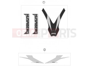 HUSABERG 2010 Offroad FX 450 (2301J0) [EU] DECAL|Frame|08