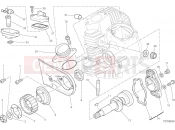 DUCATI Scrambler Urban Motard HORIZONTAL HEAD – TIMING SYSTEM [MOD:SCR800UM]