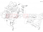 DUCATI 2022 Scrambler Desert Sled Fasthouse WIRING HARNESS (COIL) [MOD:SCR800FH]