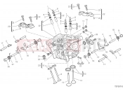 DUCATI DesertX VERTICAL HEAD